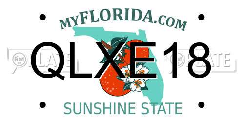 QLXE18 Florida License Plate