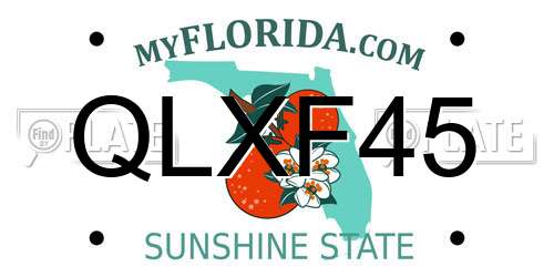 QLXF45 Florida License Plate