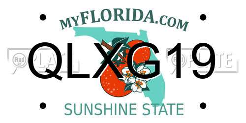 QLXG19 Florida License Plate