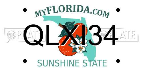QLXI34 Florida License Plate