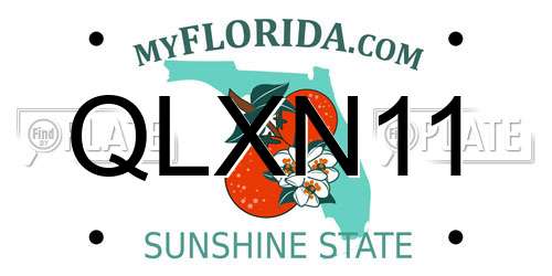 QLXN11 Florida License Plate