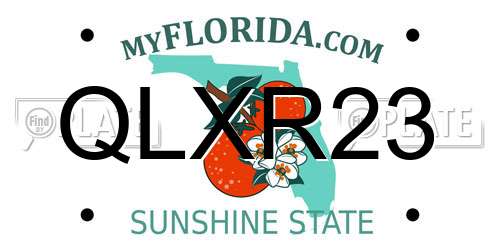 QLXR23 Florida License Plate