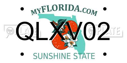 QLXV02 Florida License Plate