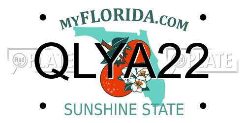 QLYA22 Florida License Plate