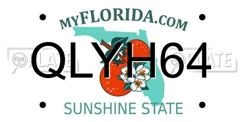 QLYH64 Florida License Plate