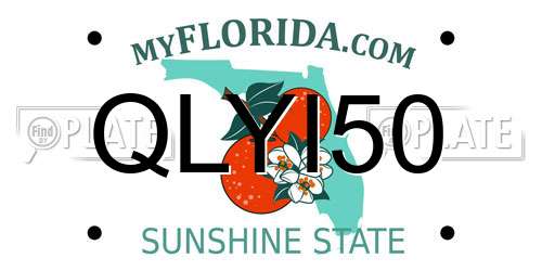 QLYI50 Florida License Plate