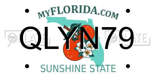 QLYN79 Florida License Plate