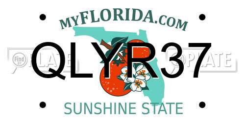 QLYR37 Florida License Plate
