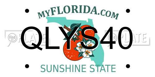 QLYS40 Florida License Plate