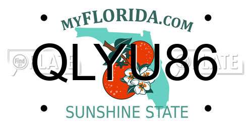 QLYU86 Florida License Plate