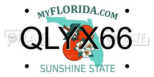 QLYX66 Florida License Plate