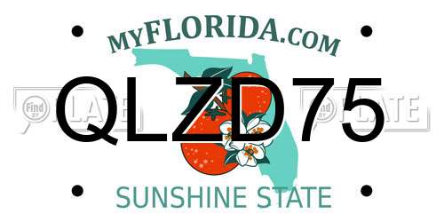 QLZD75 Florida License Plate
