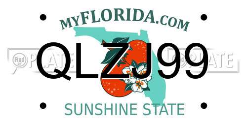 QLZJ99 Florida License Plate