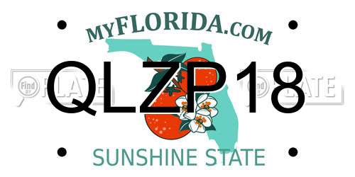 QLZP18 Florida License Plate