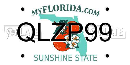 QLZP99 Florida License Plate