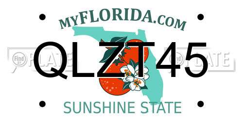 QLZT45 Florida License Plate