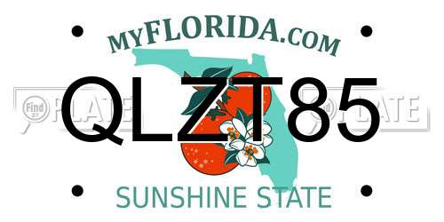 QLZT85 Florida License Plate