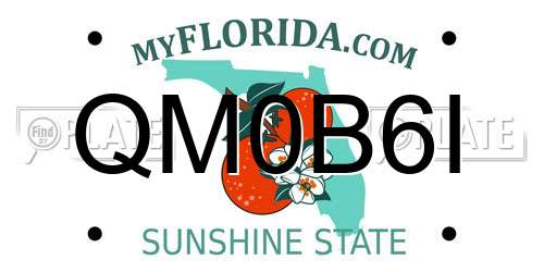 QM0B6I Florida License Plate