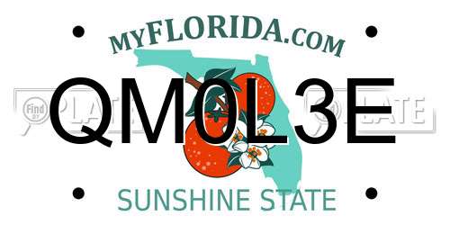 QM0L3E Florida License Plate