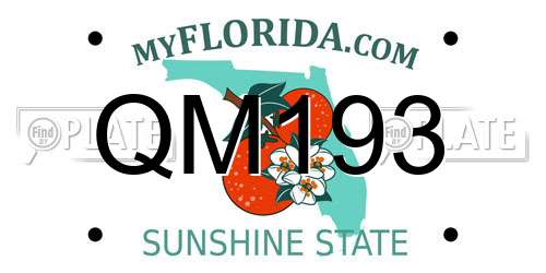 QM193 Florida License Plate