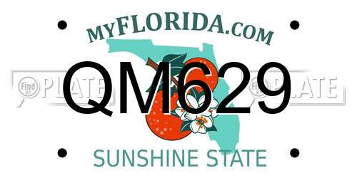 QM629 Florida License Plate