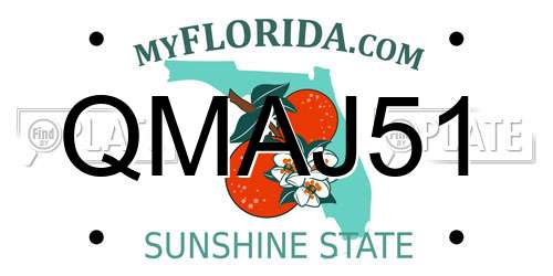 QMAJ51 Florida License Plate