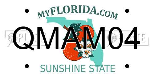 QMAM04 Florida License Plate
