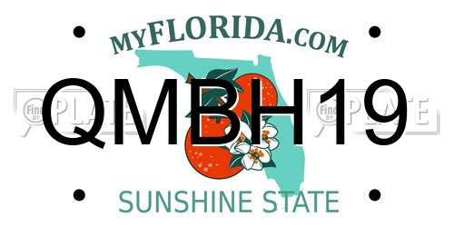 QMBH19 Florida License Plate