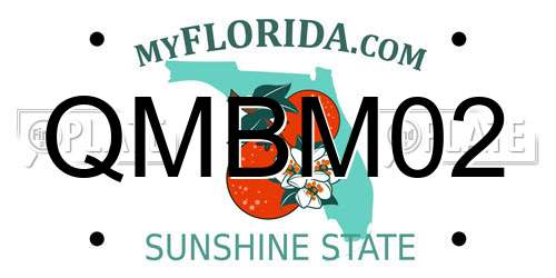 QMBM02 Florida License Plate