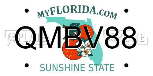 QMBV88 Florida License Plate