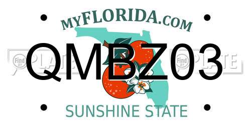 QMBZ03 Florida License Plate