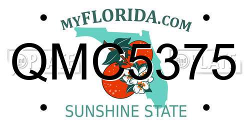 QMC5375 Florida License Plate