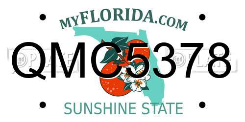 QMC5378 Florida License Plate