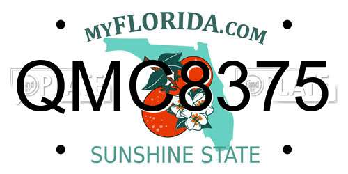 QMC8375 Florida License Plate