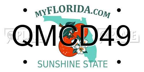 QMCD49 Florida License Plate