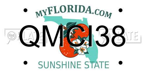 QMCI38 Florida License Plate