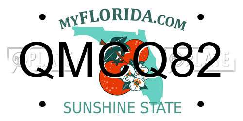 QMCQ82 Florida License Plate
