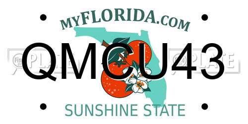 QMCU43 Florida License Plate