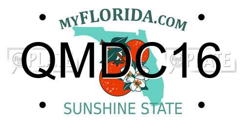 QMDC16 Florida License Plate