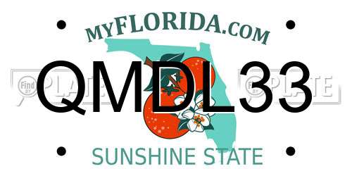 QMDL33 Florida License Plate