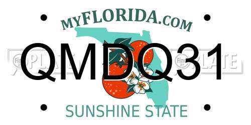 QMDQ31 Florida License Plate