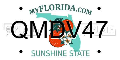 QMDV47 Florida License Plate
