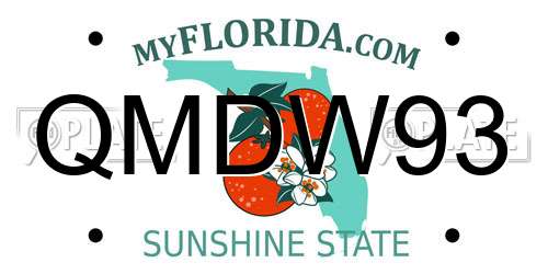 QMDW93 Florida License Plate