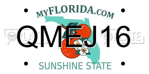 QMEJ16 Florida License Plate