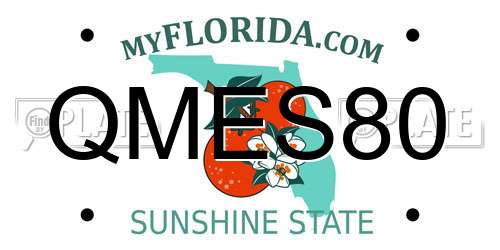 QMES80 Florida License Plate