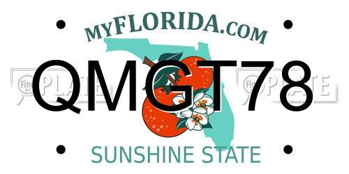 QMGT78 Florida License Plate