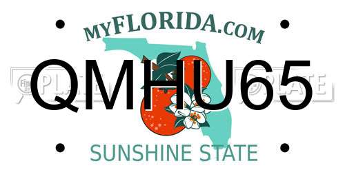 QMHU65 Florida License Plate