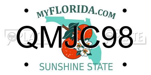 QMJC98 Florida License Plate