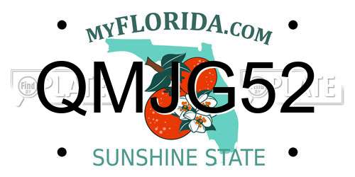 QMJG52 Florida License Plate