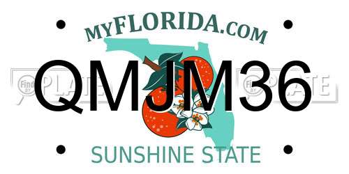QMJM36 Florida License Plate